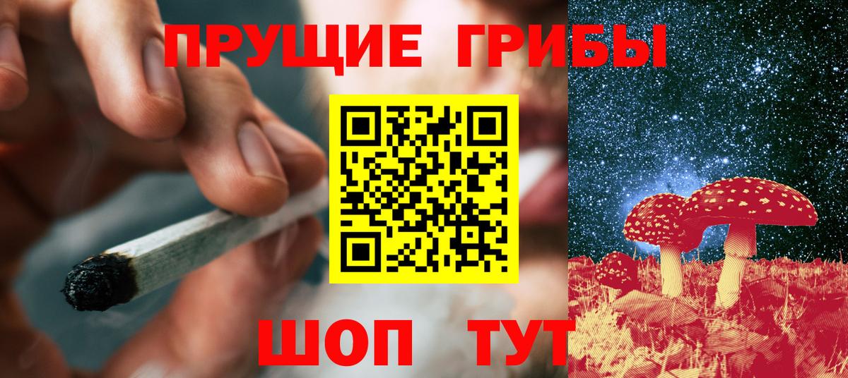 Галлюциногенные грибы прущие грибы Дмитров
