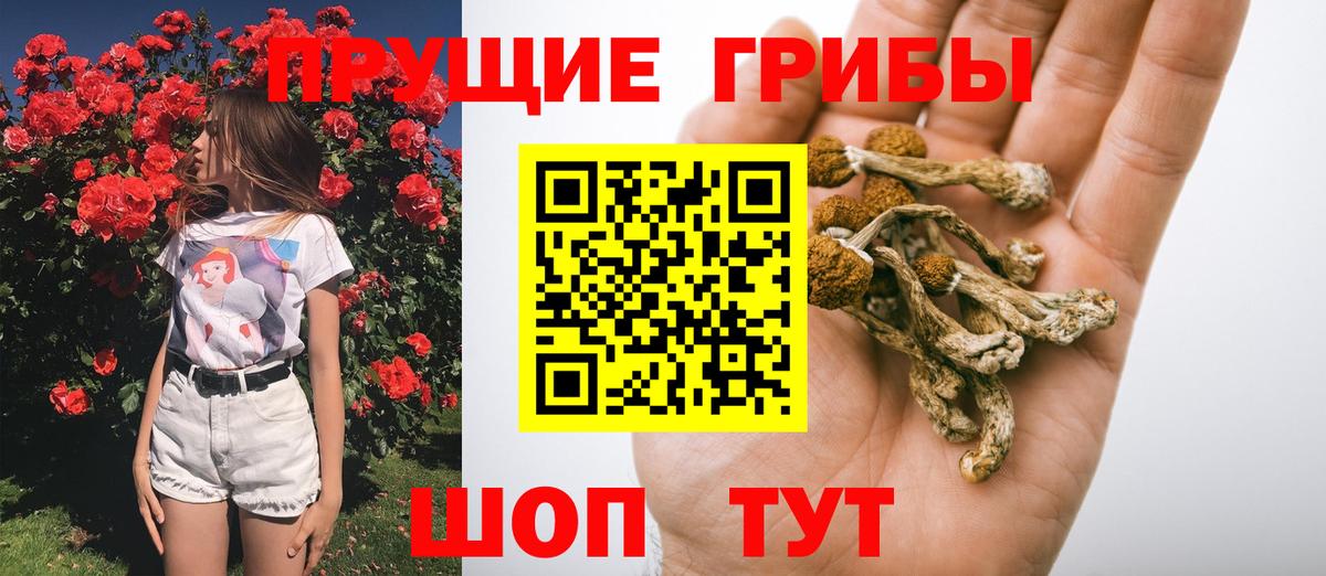 МЕТАДОН Дмитров