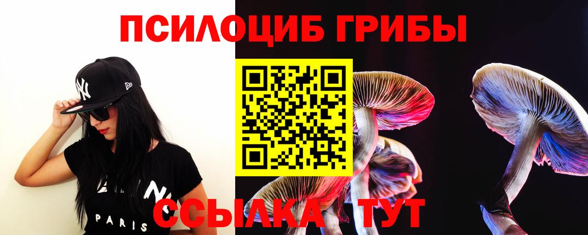 Дмитров  Галлюциногенные грибы GOLDEN TEACHER  Вход с VPN 